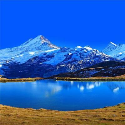 星空体育平台官网手机app下载截图